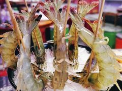 -捞围鲜·港式打边炉(海阳路店)