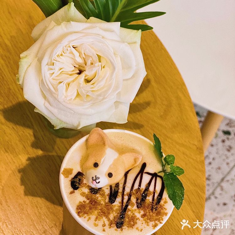 怕🐶怕得要死的我为什么进这家店?还不是因为……