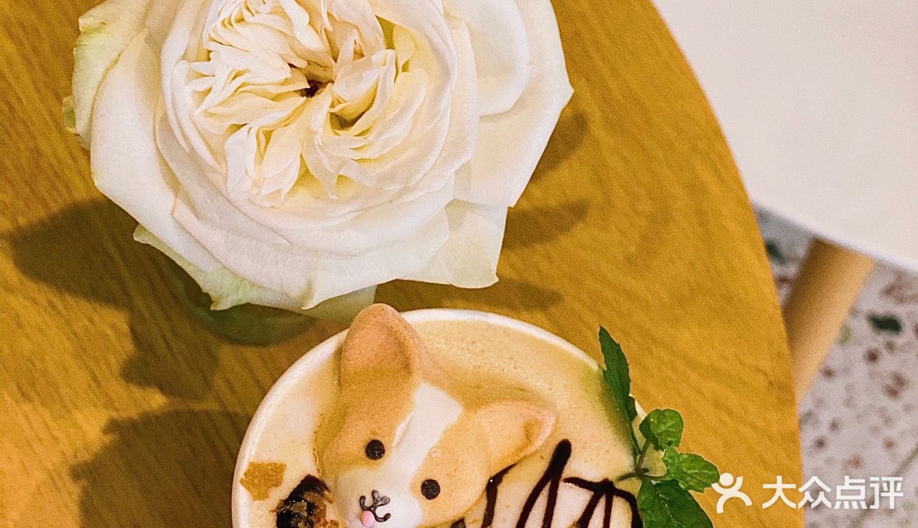 怕🐶怕得要死的我为什么进这家店？还不是因为……