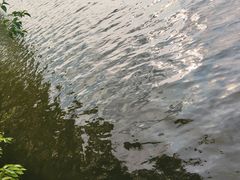 -黄兴公园