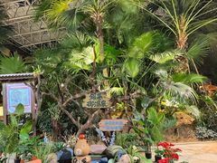 -郑州银基黄帝宫御温泉