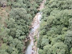 -九龙江国家森林公园