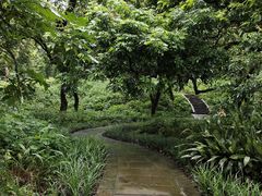 -张坝桂圆林公园