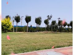 -东疆建设开发纪念公园