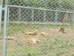 -西安秦岭野生动物园