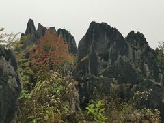-泥凼石林风景区