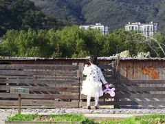-宁波九龙湖开元度假村