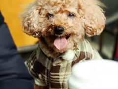 -星巴克(成都科学城店)