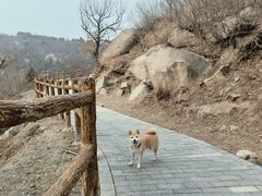 -白水寺森林公园