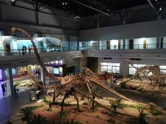 -自贡恐龙博物馆