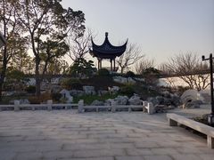 -上海滨江森林公园