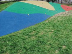 -昆山城市生态森林公园