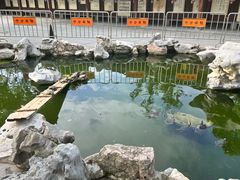 -龙华素斋(龙华路店)