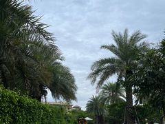 -厦门万豪酒店及会议中心大堂吧·海景下午茶