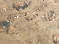 -那香海钻石沙滩浴场