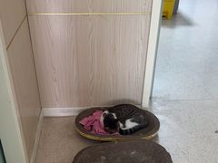 -亚宠动物医院·芭比堂宠物医院(盘龙店)