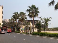 -北海金海湾红树林生态旅游区