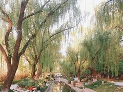 -菖蒲河公园