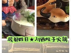 -MEDISN·药厂