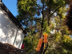 -EVA咖啡小酒馆