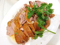 -日日香卤鹅饭店·澄海狮头鹅(澄海店)