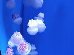 -福州罗源湾海洋世界旅游区