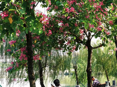 -东山湖公园
