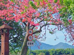 -风云岭森林公园