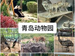 -青岛动物园