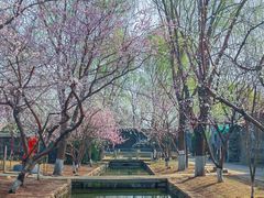 -春风习习
