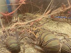 -Isla Sugbu Seafood City