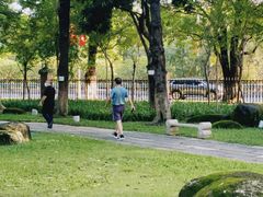 -名树园