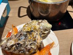 -星伦多自助料理(爱琴海店)