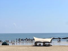 -巧克力渔家.小船海鲜胶东菜(万平口店)