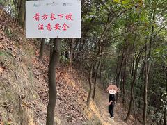 -南山植物园