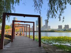 -天鹅湖体育公园