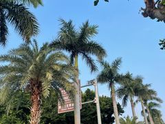 -佳丽海鲜大酒楼(环岛海景店)