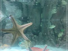 -福州罗源湾海洋世界旅游区