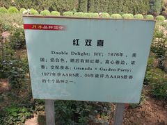 -汉景帝阳陵博物院