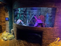 -沈阳海洋探索中心