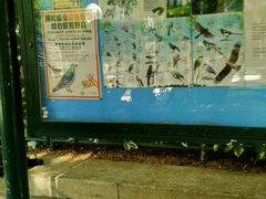 -九龙公园