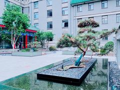 -庐灶江南·江南菜·四合院Bistro(东直门雍和宫·原华侨宾馆店)