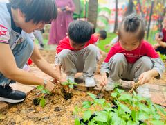 -井德幼儿园(新康花园店)