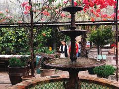 -The Grounds of Alexandria