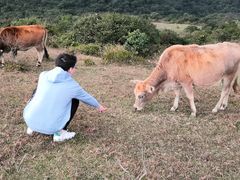 -大姆山草场
