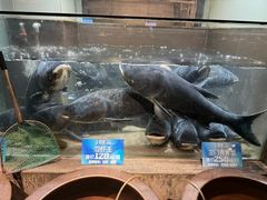 -上名堂·鱼头好吃(体育场路店)