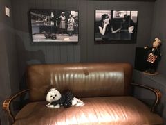 -百好乐宠物友好餐厅(朝外大街店)