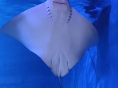 -海合安青岛极地海洋公园