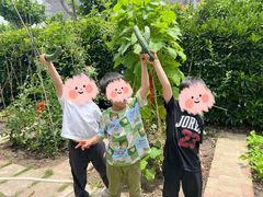 -小风车金桥丽都幼儿园(金桥店)