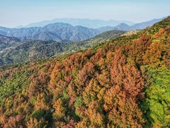 -广州市石门国家森林公园